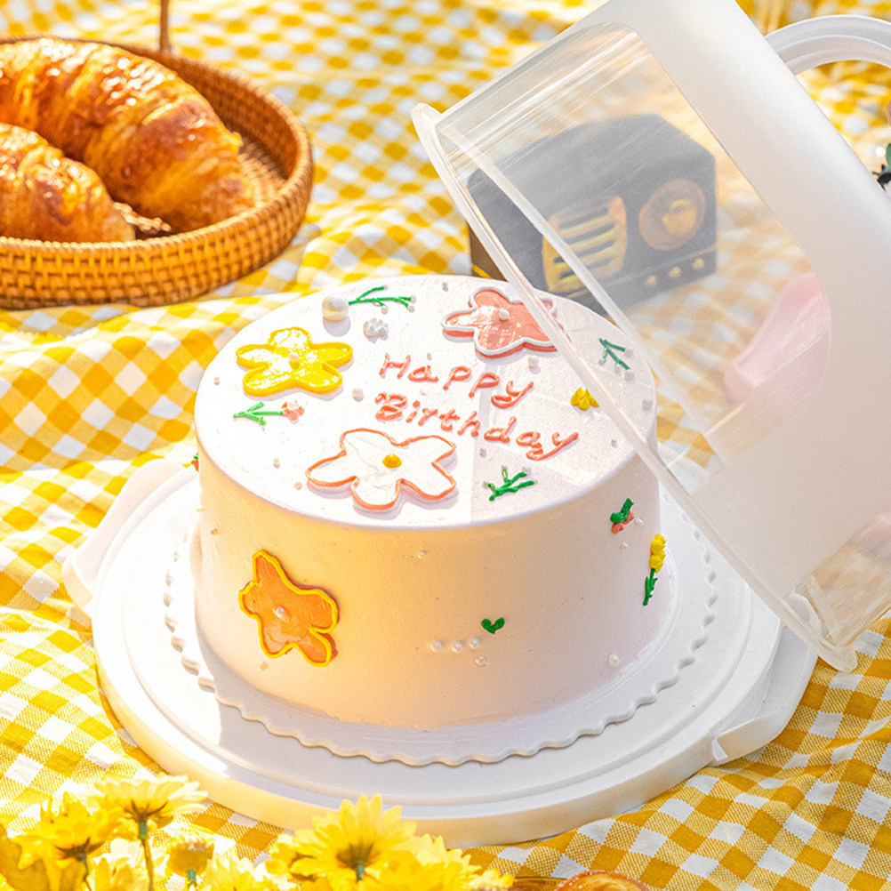 Plastic Dome Clear - Food Safe Reusable Cake Box with