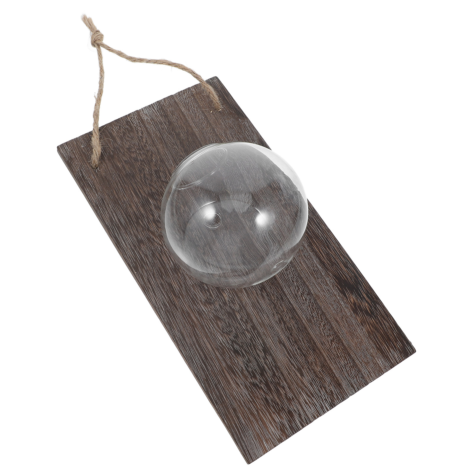 Propagation Station Vase - Wall Mounted Glass Vase Hanging Planter