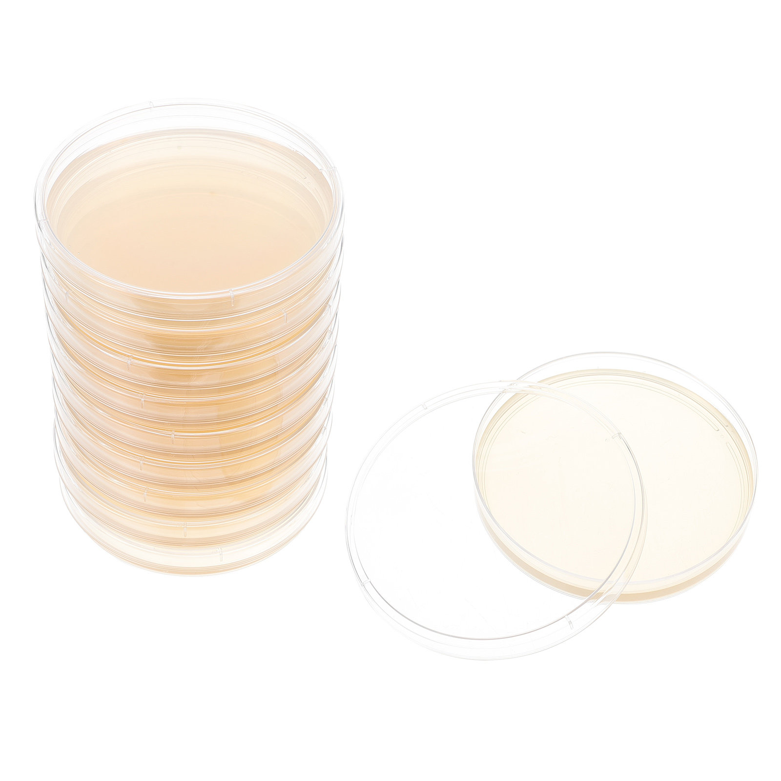 Agar Tissue Culture - 10pcs Nutrient Agar Plates Pre-Poured For