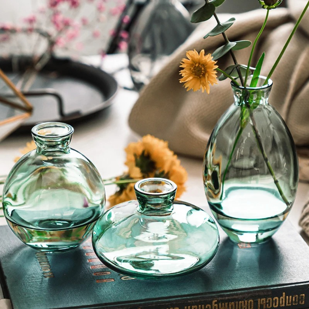 Propagation Station Vase - Nordic Transparent Glass Vase Avocado Seed