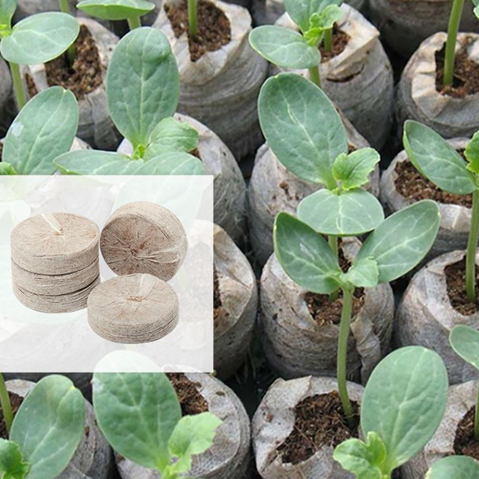Peat Pellets 100 Piece Potting - Peat Pellet Tray ulasan dan harga