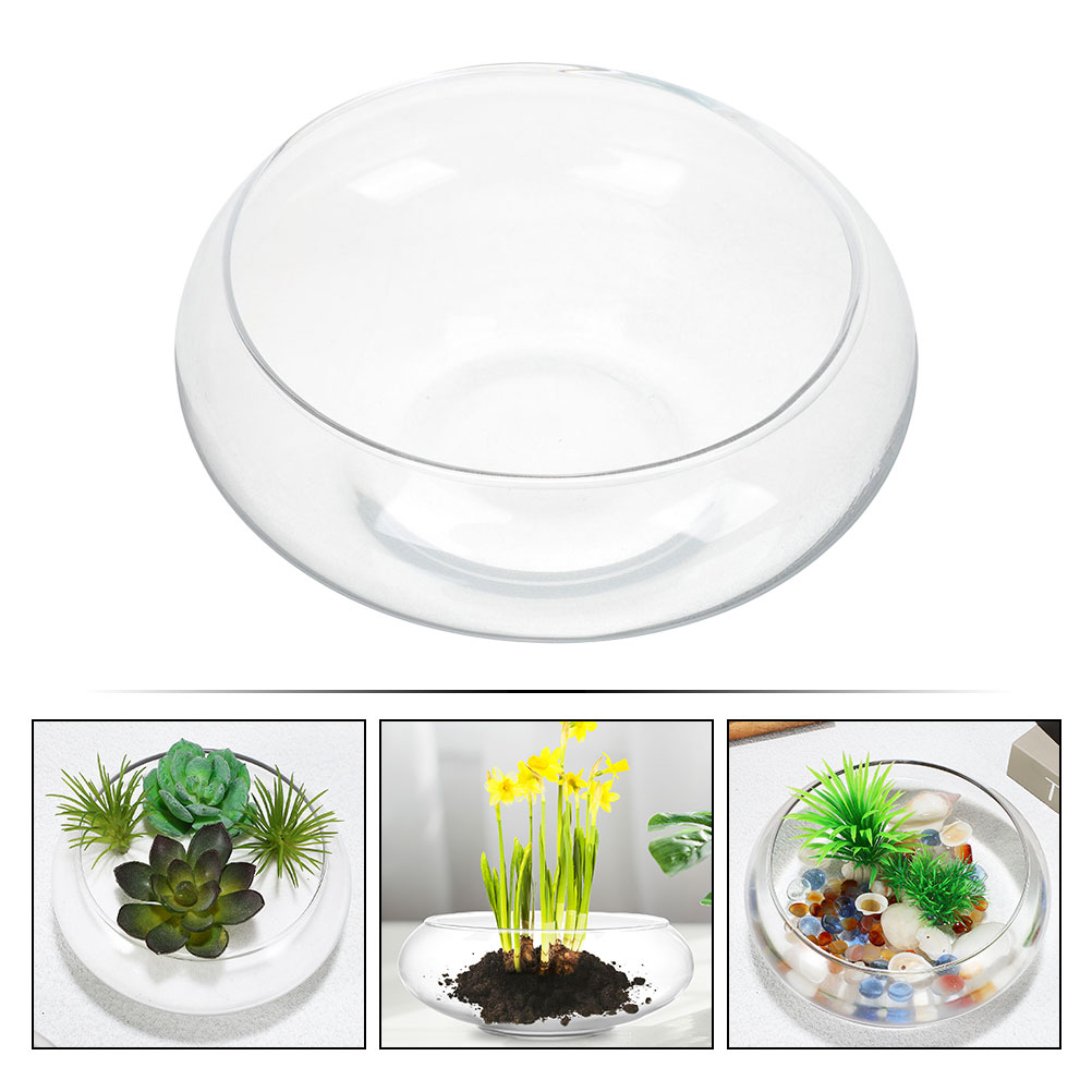 Wide Mouth Glass Vase Narcissu - Propagation Station Vase ulasan dan harga
