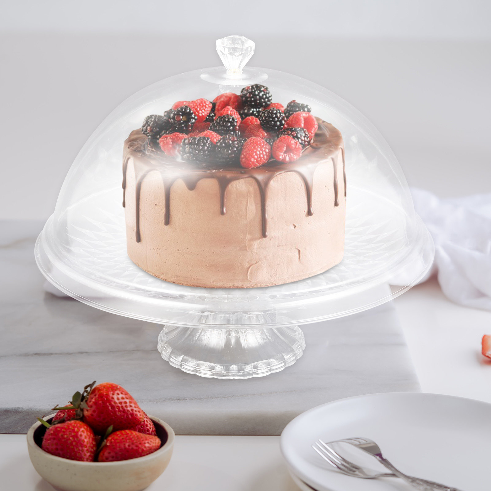 Clear Pet Cake Stand with Dome - Plastic Dome Clear ulasan dan harga