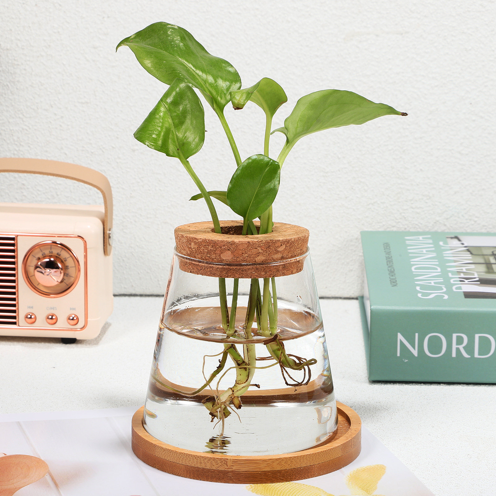2Pcs Water Planters Glass Prop - Propagation Station Vase ulasan dan harga