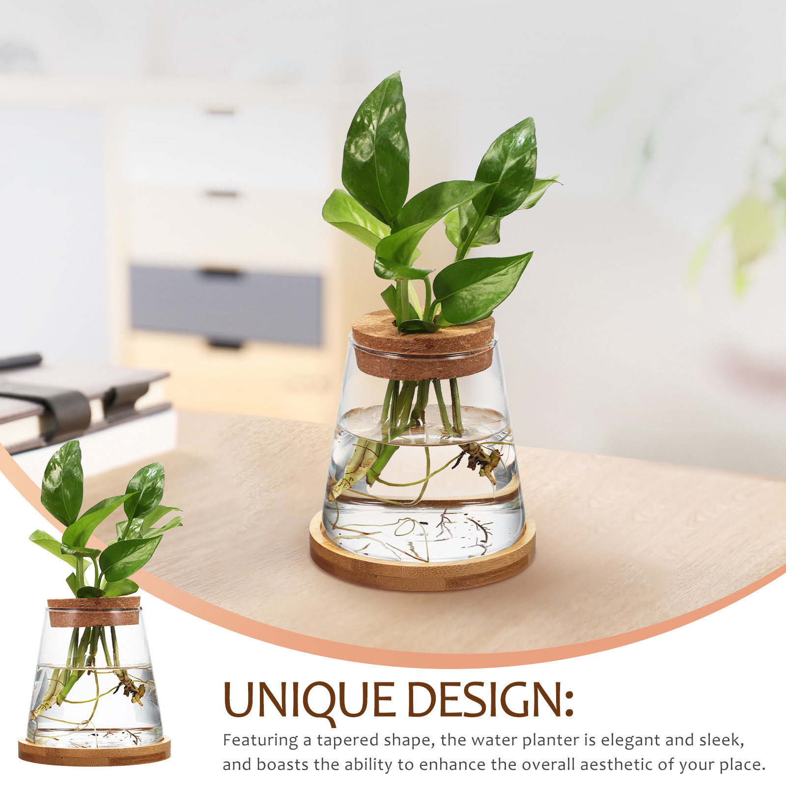 2Pcs Water Planters Glass Prop - Propagation Station Vase ulasan dan harga