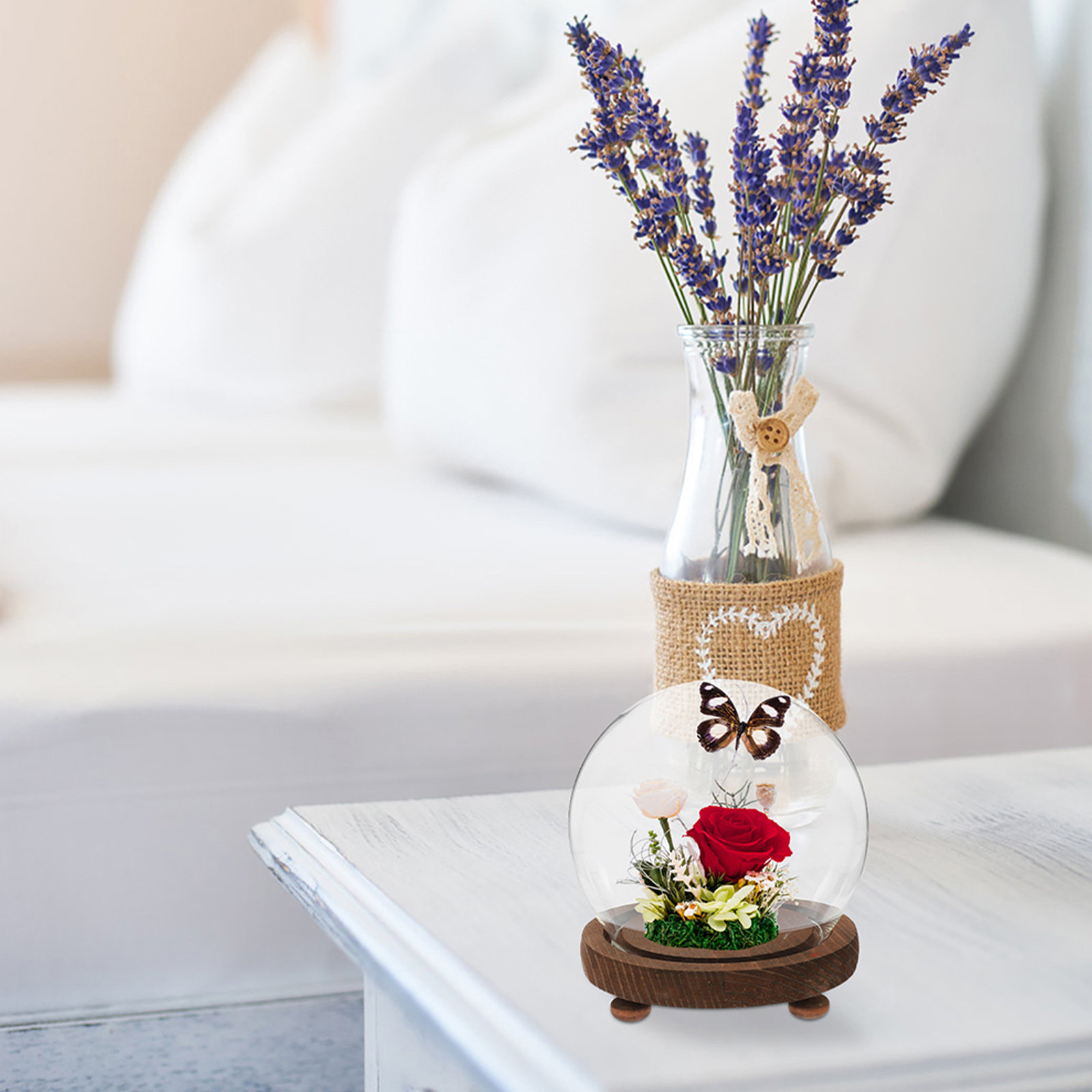 Spherical Glass Cover Ornament - Plastic Dome Clear ulasan dan harga