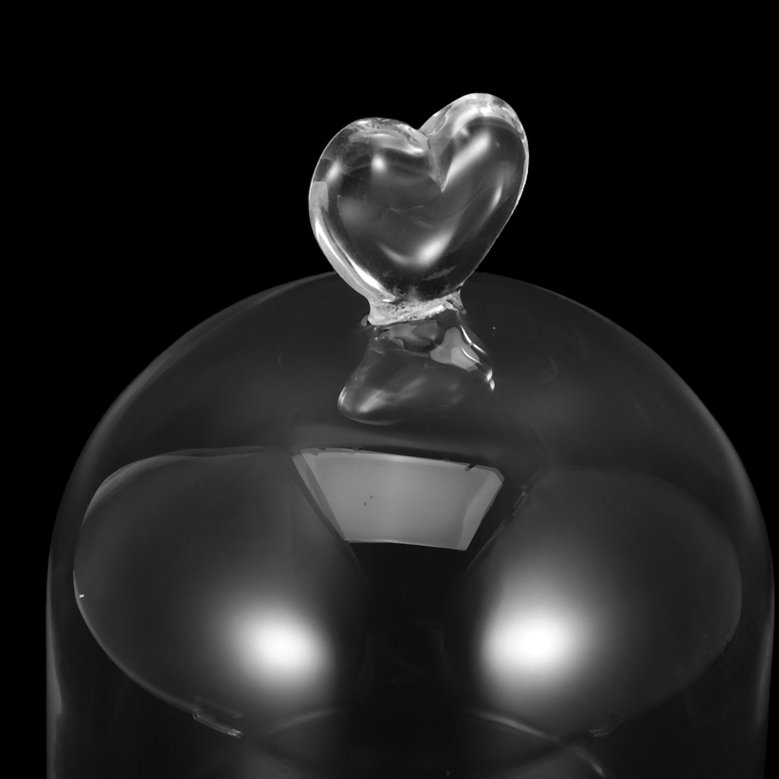 Glass Cloche 6.3x4 Transparent - Plastic Dome Clear ulasan dan harga