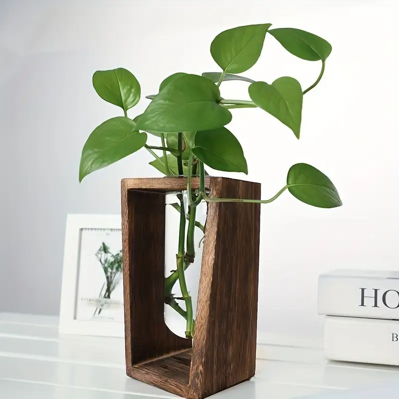 Modern Wood Propagation Vase - - Propagation Station Vase ulasan dan harga