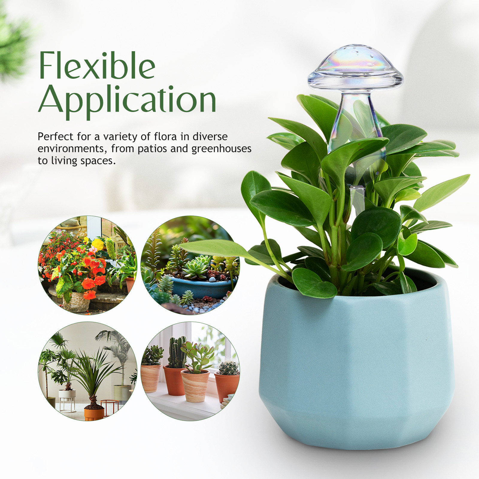 4 Pcs Pot Watering Device Plan - Self Watering Insert ulasan dan harga
