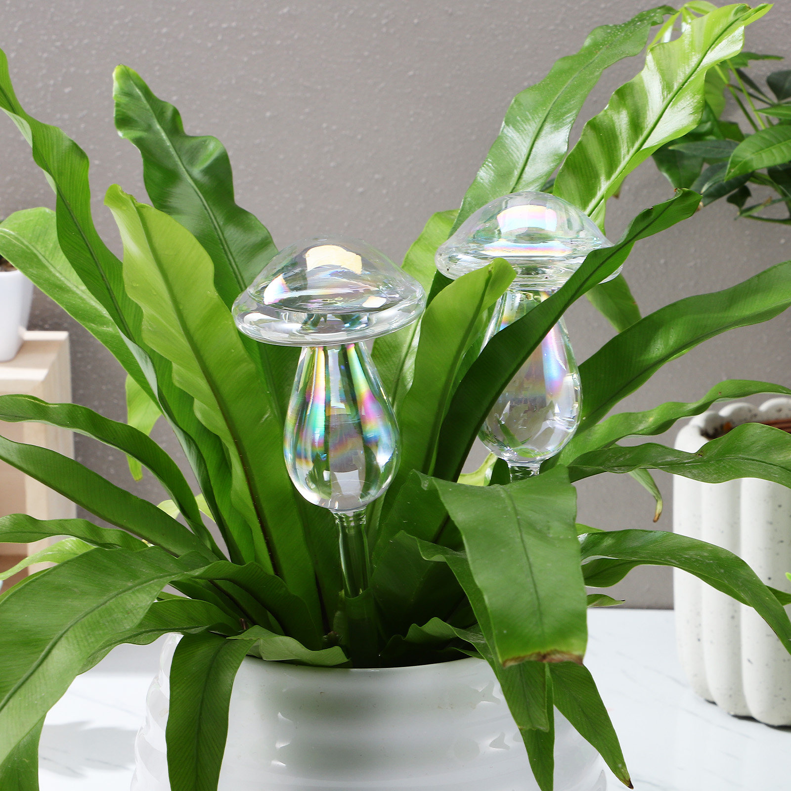 4 Pcs Pot Watering Device Plan - Self Watering Insert ulasan dan harga