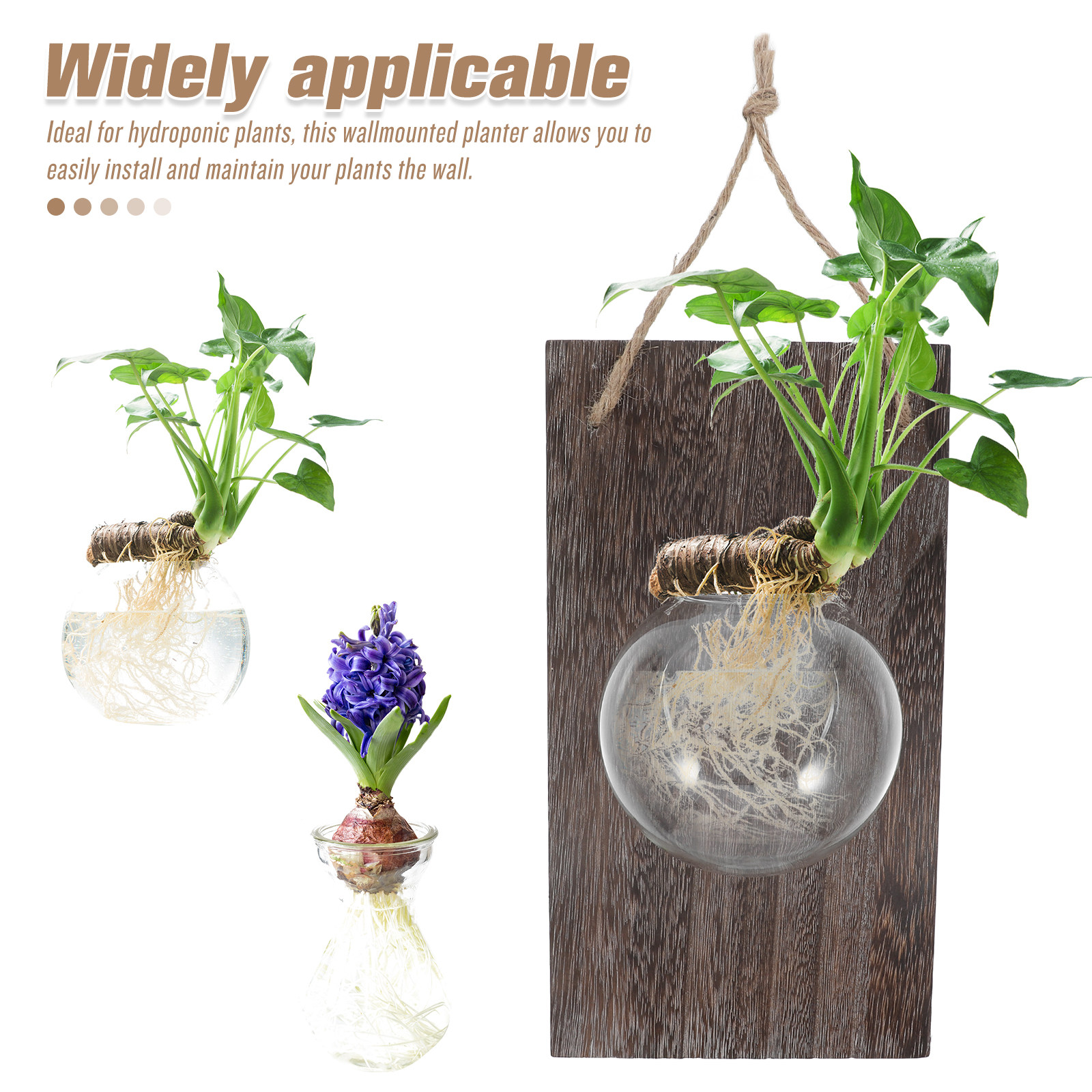 Wall Mounted Glass Planter Han - Propagation Station Vase ulasan dan harga