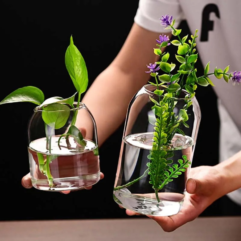 Creative Hydroponic Plant Glas - Propagation Station Vase ulasan dan harga
