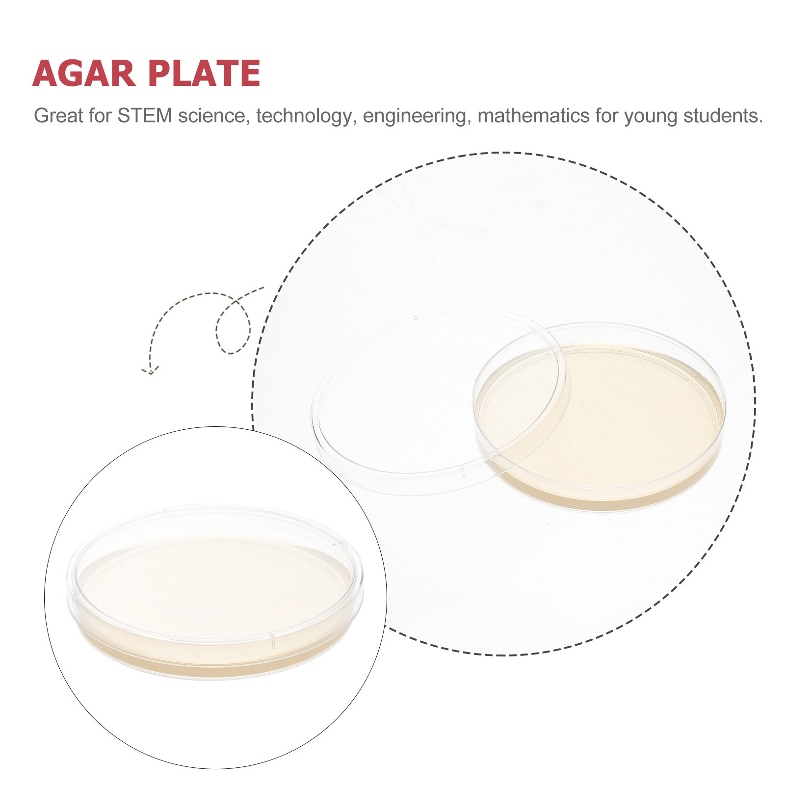 10pcs Nutrient Agar Plates Pre - Agar Tissue Culture ulasan dan harga