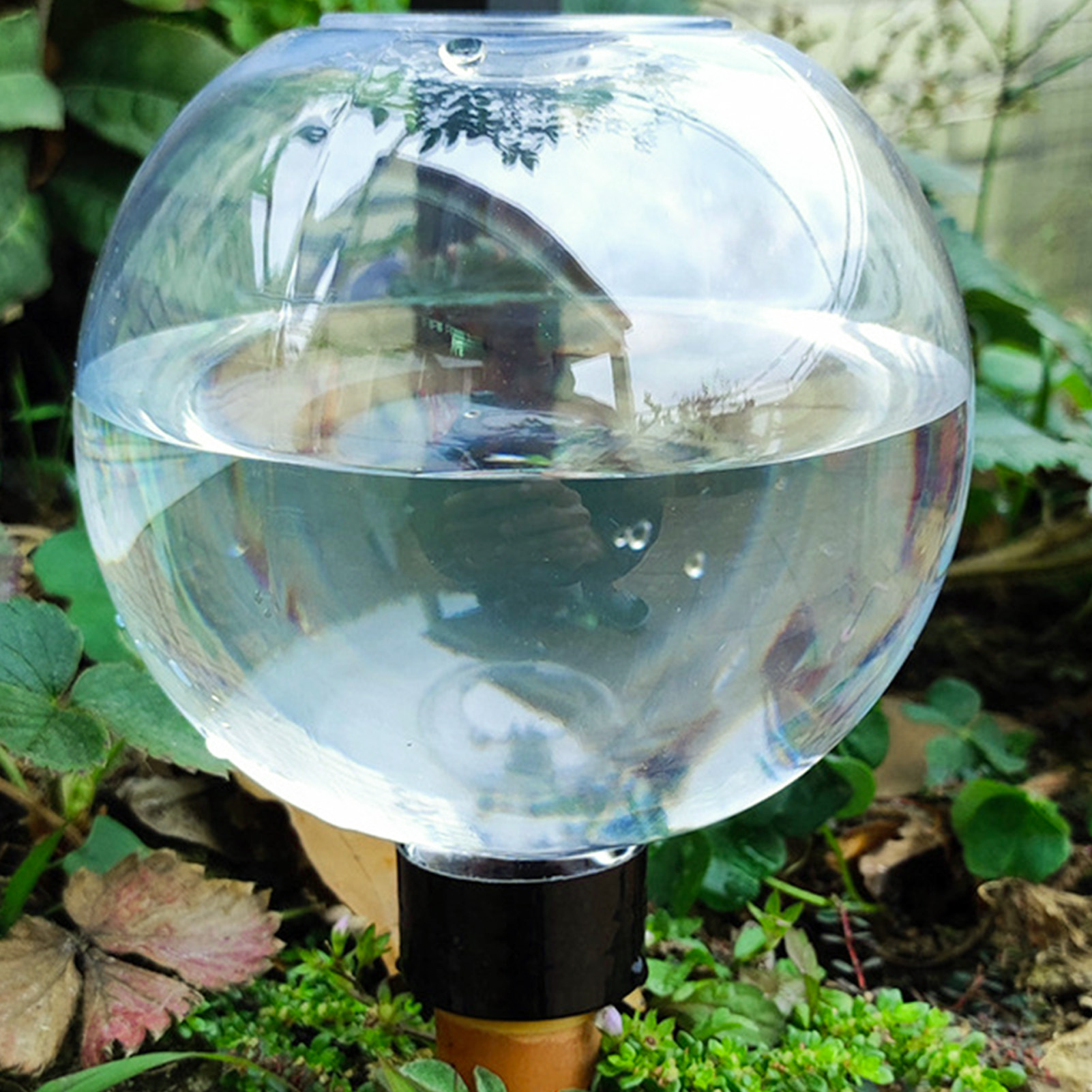 500ML Automatic Plant Watering - Self Watering Insert ulasan dan harga
