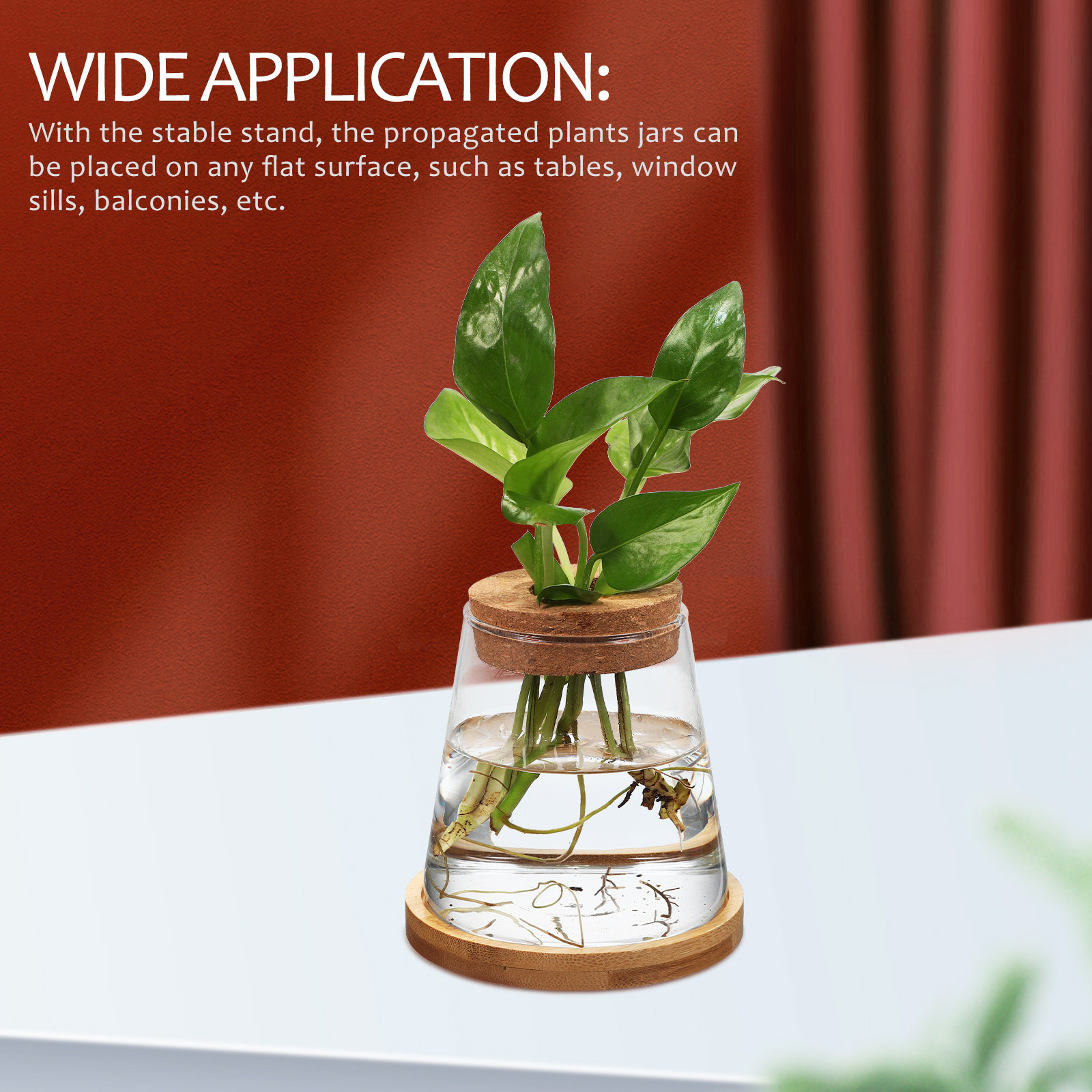 2Pcs Hydroponic Plants Propaga - Propagation Station Vase ulasan dan harga