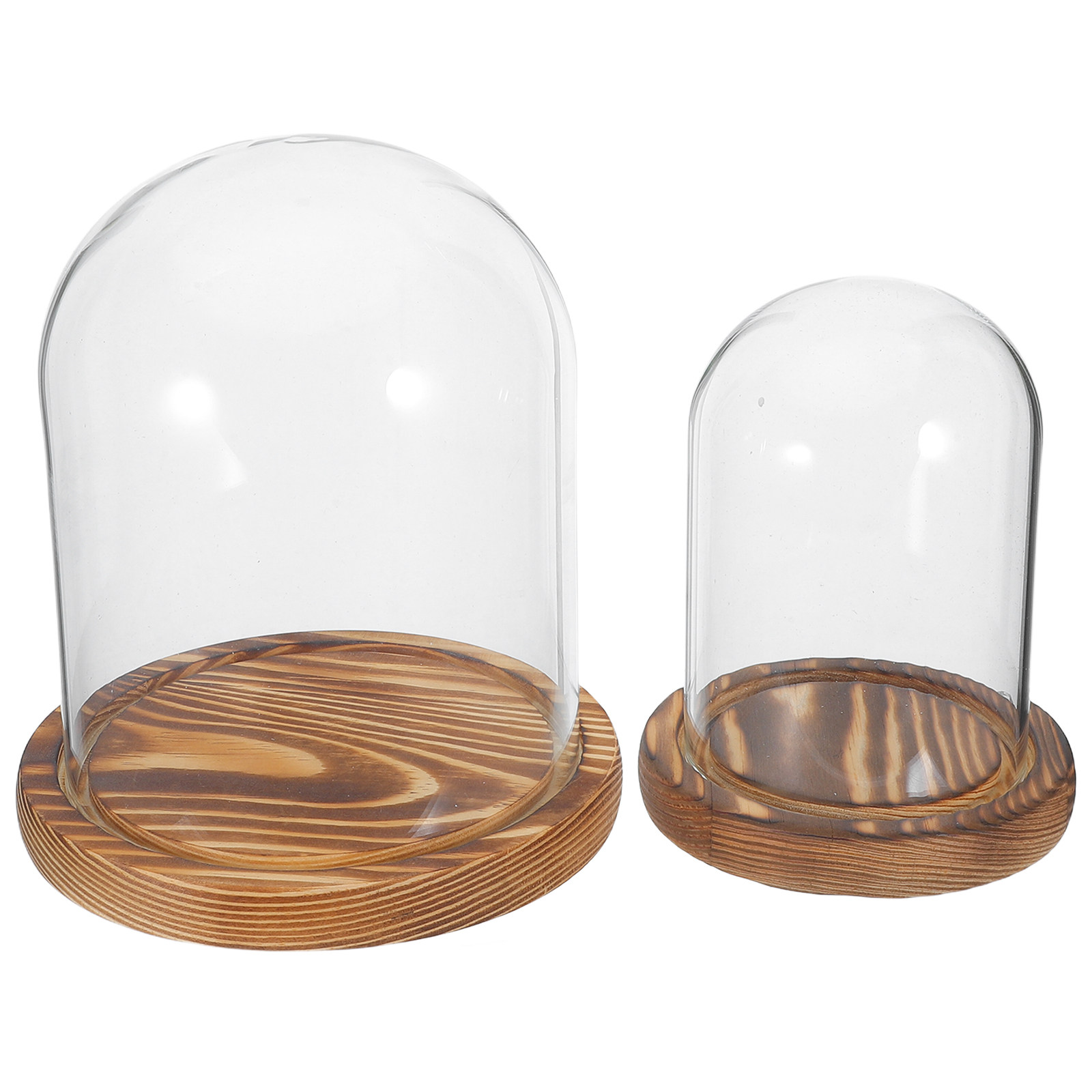 2Sets Clear Glass Display Dome - Plastic Dome Clear ulasan dan harga