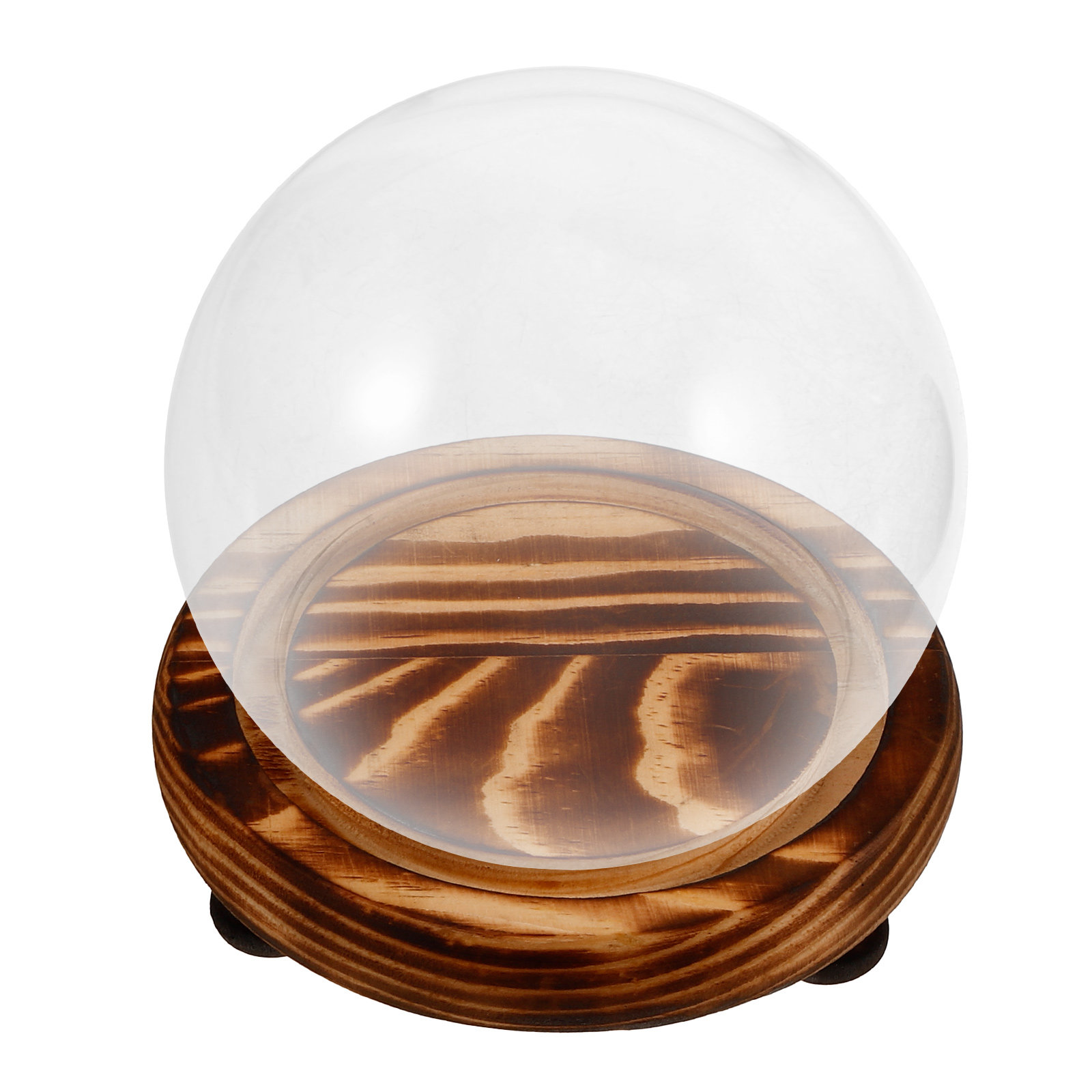 Glass Dome Display Case with W - Plastic Dome Clear ulasan dan harga