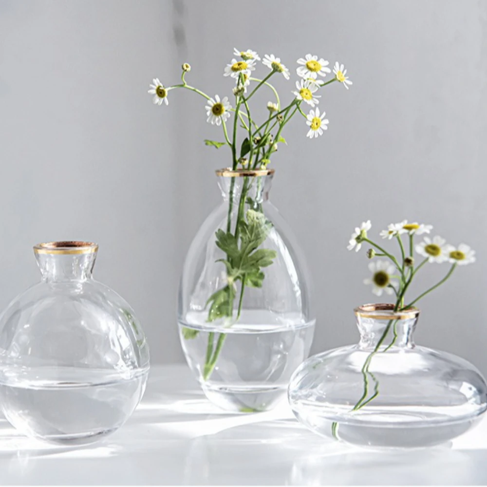 Nordic Transparent Glass Vase  - Propagation Station Vase ulasan dan harga