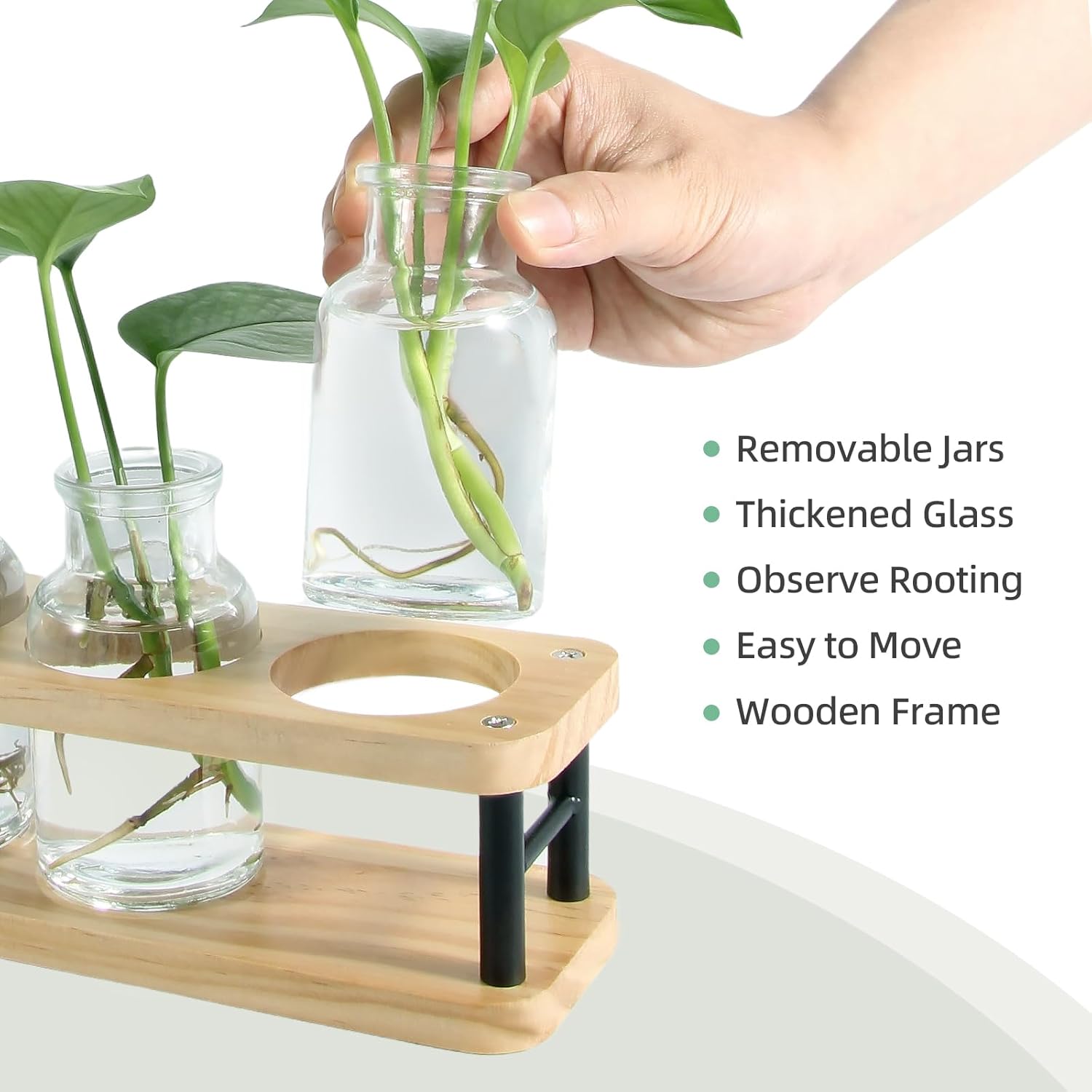 Propagation Station with Woode - Propagation Station Vase ulasan dan harga