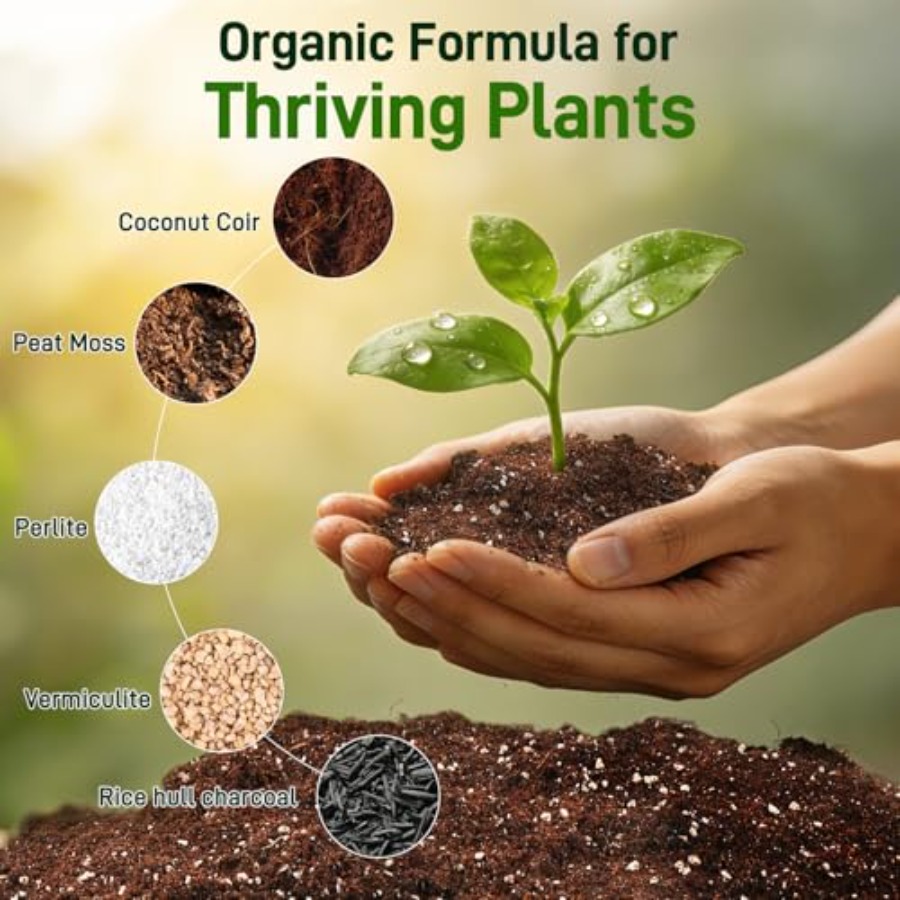 2 Mix for Indoor Plants - Cont - Coco Perlite Mix ulasan dan harga