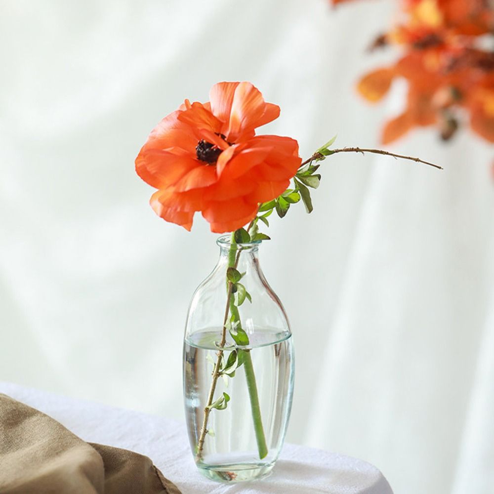 Fashion Retro Flower Vase Glas - Propagation Station Vase ulasan dan harga