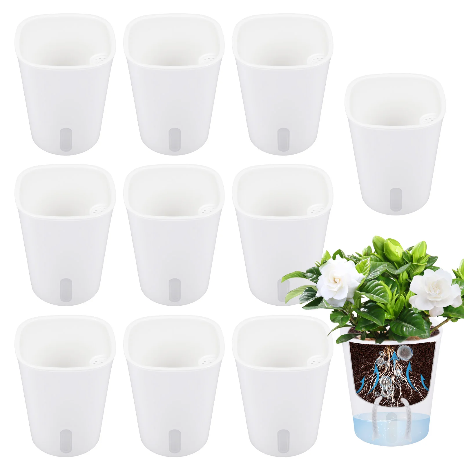 10 Pcs Self Watering Planter L - Self Watering Insert ulasan dan harga