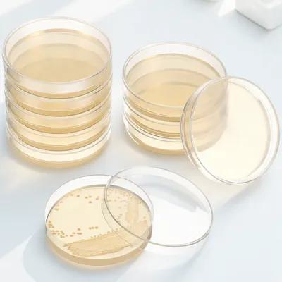 20Pcs Pre-Poured Agar Plates N - Agar Tissue Culture ulasan dan harga