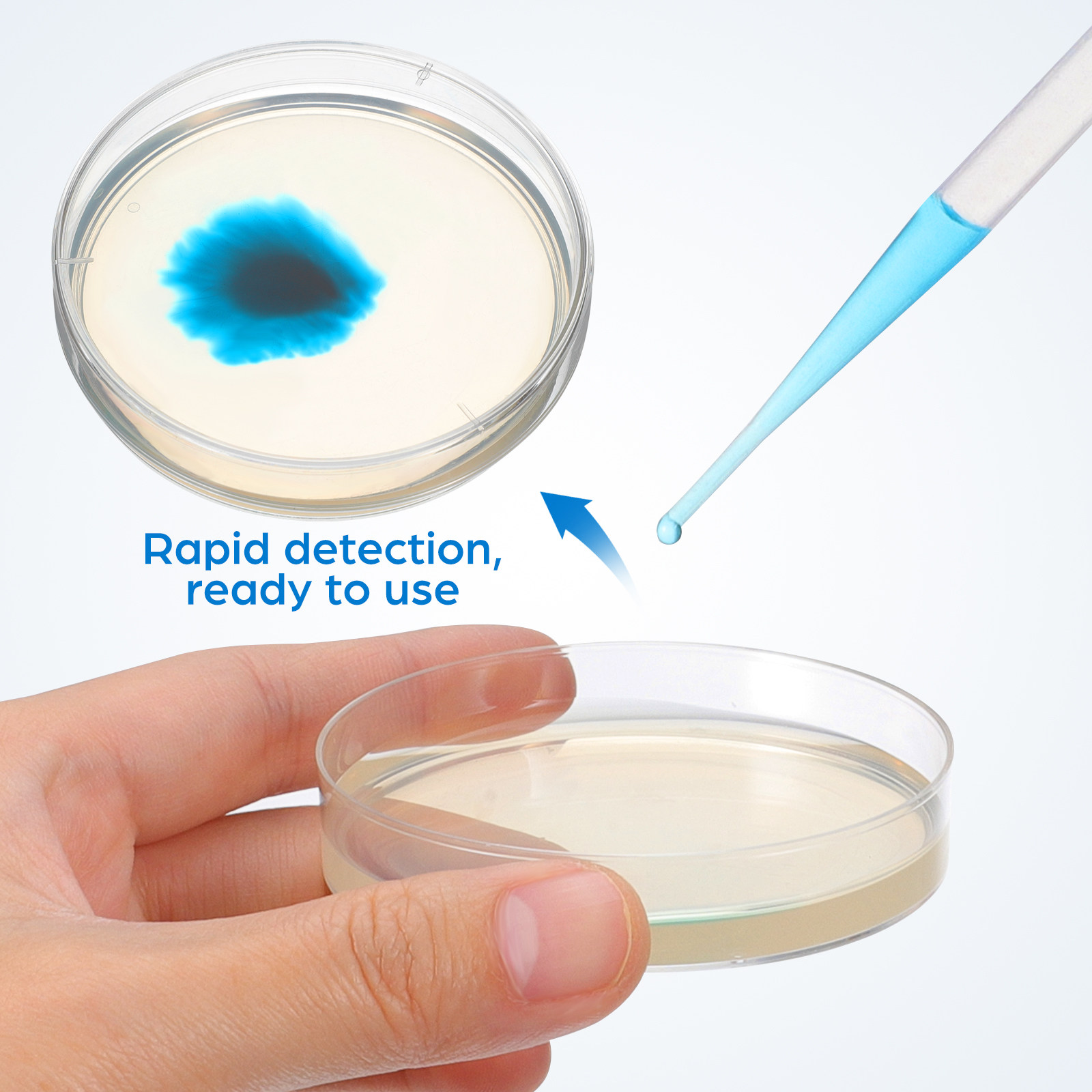 20Pcs Pre-Poured Agar Plates N - Agar Tissue Culture ulasan dan harga