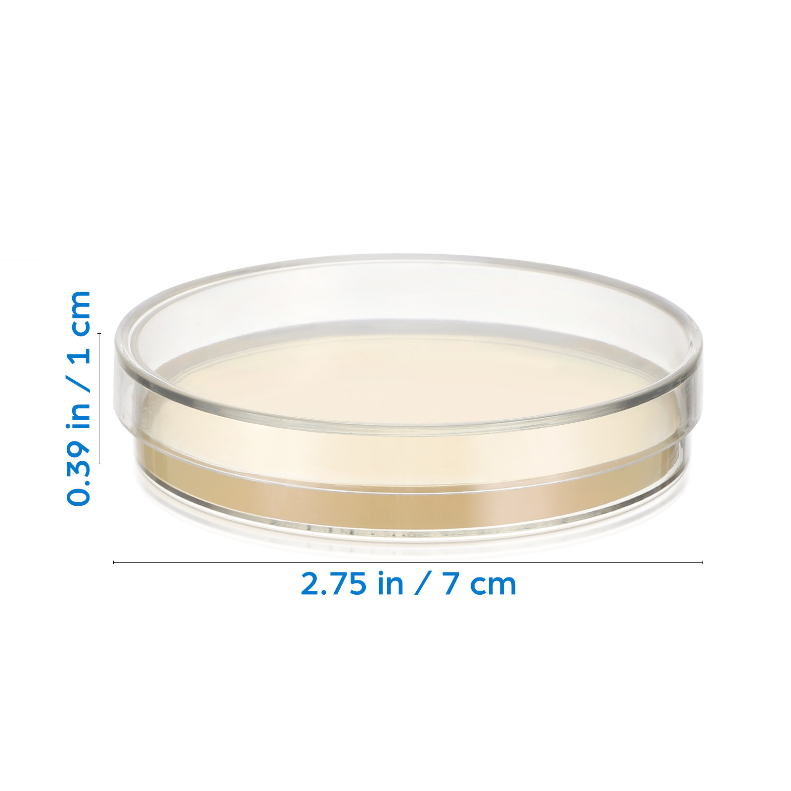 20Pcs Pre-Poured Agar Plates N - Agar Tissue Culture ulasan dan harga