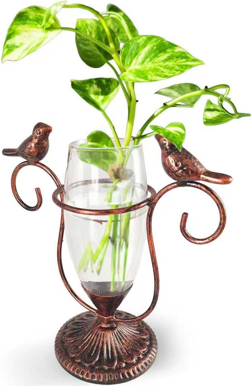 2 Vintage Copper Bird Plant Pr - Propagation Station Vase ulasan dan harga