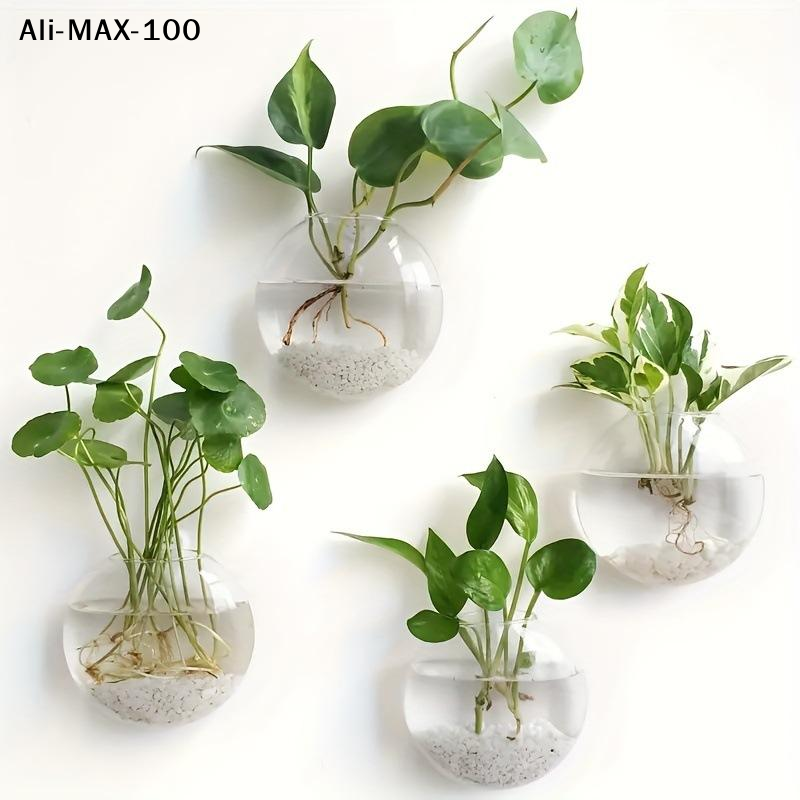 【MA3】Wall Hanging Glass Plant  - Propagation Station Vase ulasan dan harga