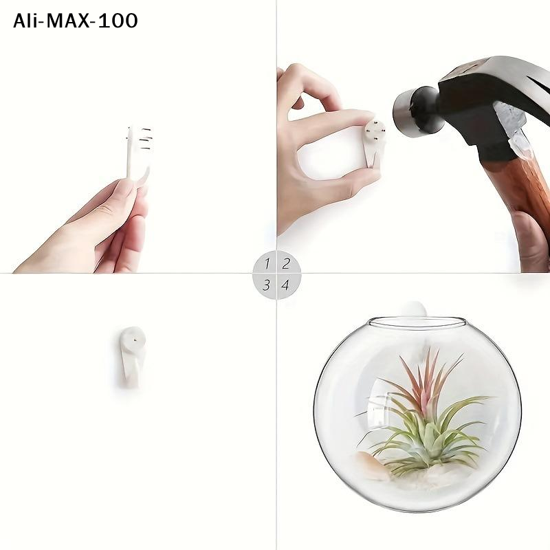 【MA3】Wall Hanging Glass Plant  - Propagation Station Vase ulasan dan harga