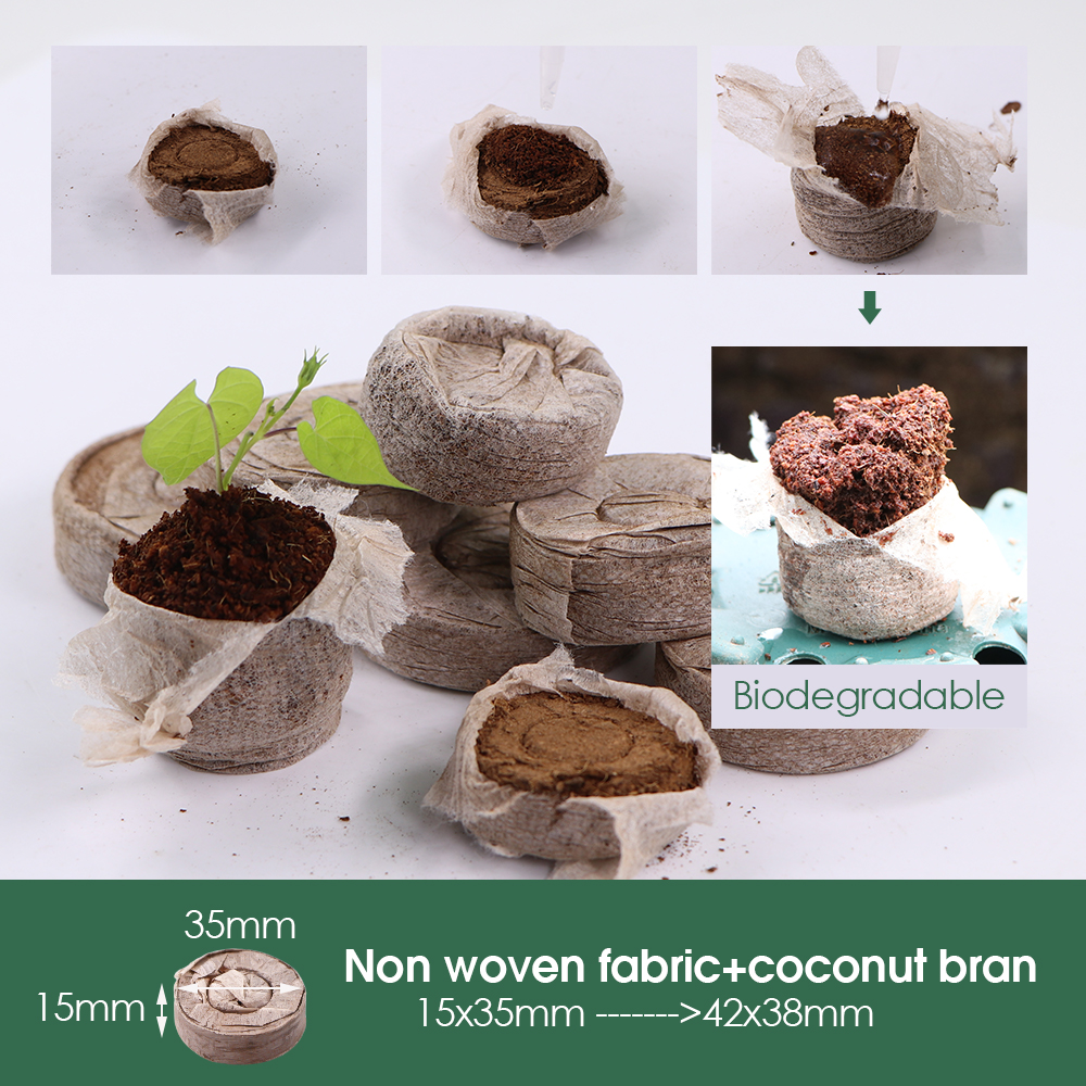 10 Cells Seedling Trays Germin - Peat Pellet Tray ulasan dan harga