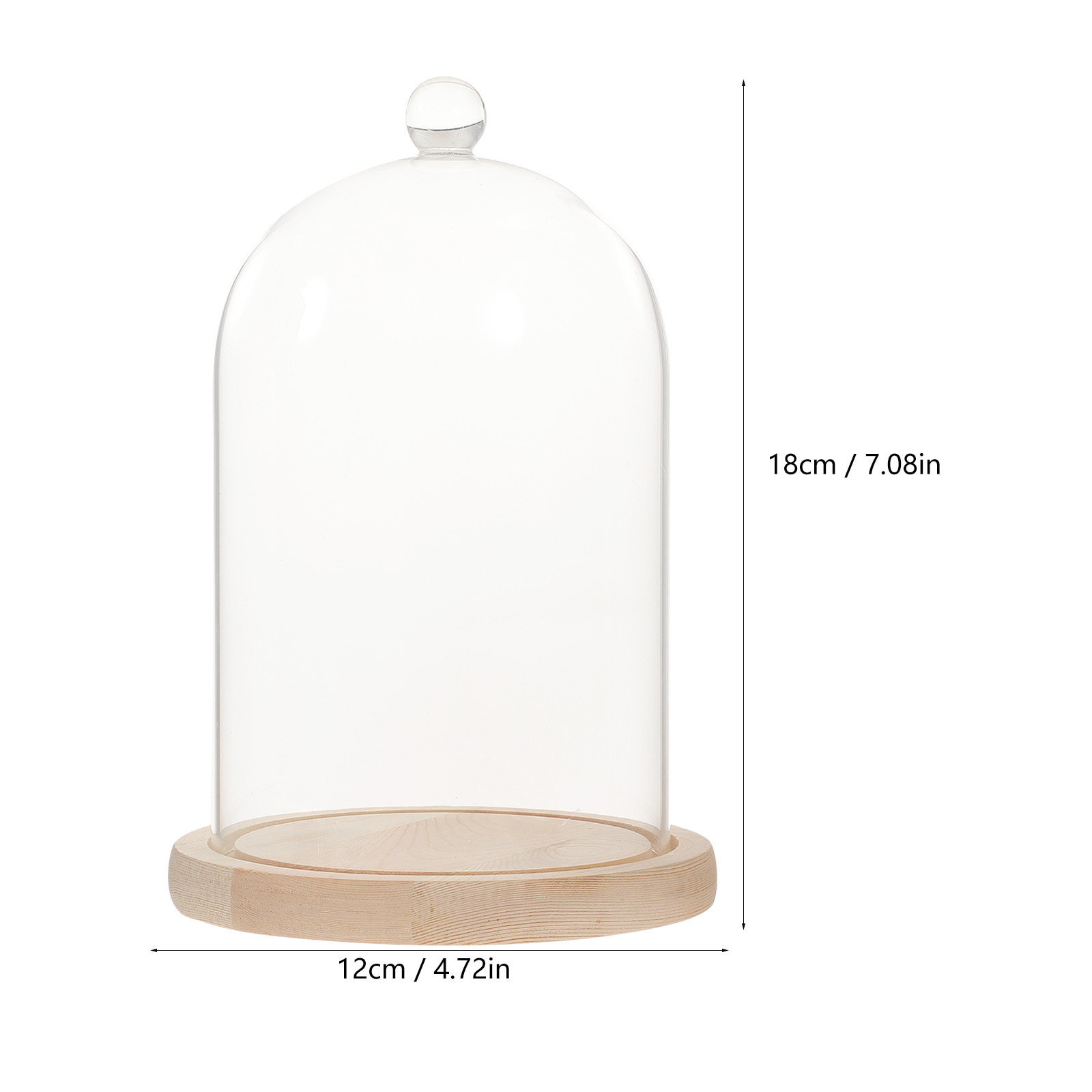 Glass Dome Display Case with B - Plastic Dome Clear ulasan dan harga